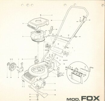 concord-fox